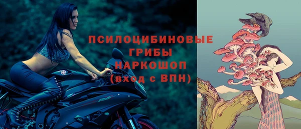 ГАЛЛЮЦИНОГЕННЫЕ ГРИБЫ Володарск